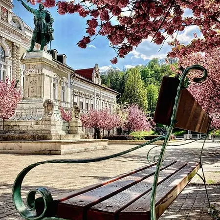 Mp Center Maganszallas Daire